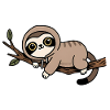 Cute Sloth on Branch