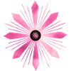 Dazzling radial pink star