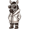 Zebra Hiver frais