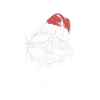 Funny Angler Christmas Petri Xmas Carp