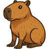 Wombat Capybara Castor