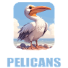 Pélicans Pélican