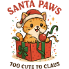 Santa Paws – Festive Cat Delight