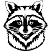 Raccoon T-shirt Gift
