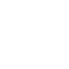 The Best Mechanic