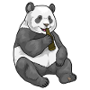 Panda Beer