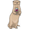 Otter Red Wine