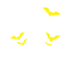 Witches be Crazy