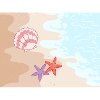 Summer beach starfish and shells