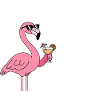 Stay Tropical Flamingo Motif