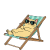 Relax cat in deck chair