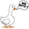 SELF-CONFIDENCE GOOSE AS PLEASE