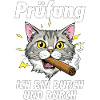 Examen CAT Cigar