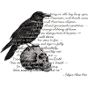 Raven & Skull – Poe Gothic Design