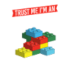Trust Me I’m An Engineer Brick Builder Block Build
