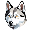 Wolf Head Head Illustration