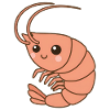 Garnele Shrimp