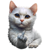 Chat