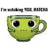 I am watching you, Matcha