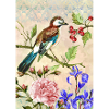 Bunter Vogel