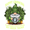 Happy Growing Cannabis Dwarf Noël