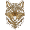 Wolfs Design