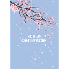 No Rain No Flowers Cherry Blossom
