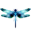 Libellule irisée dans les tons bleu-vert