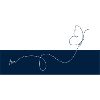 Lines Butterfly on Midnight Blue