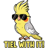 Calopsitte Perruche Humour Oiseau