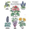 Toxic Flowers Collection