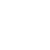 Staplerfahrer Evolution