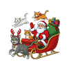 Cats For Everybody