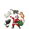 Cats for everybody