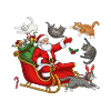 Cats for everybody
