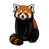 Red Panda Cuddle Illustration