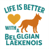 Belgian Laekenois Heart Tea