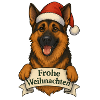 Christmas Dog with Santa Hat