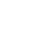 Dolphin Dolphins T-shirt Gift