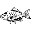 Fish Fish T-shirt Gift Angler