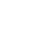 STAY D. | Greyline Official