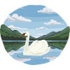 jezioro_z_Swan