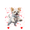 Girl loves dogs Playful dog