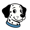 Dalmatian with blue necklace