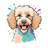 Bunter Pudel Portrait