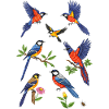 Eisvögel
