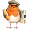 Robin Newsbird with Bread and Cap