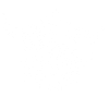 Bull's Head - Taurus