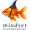 Mindset is Everything Goldfish, Motivational 