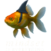 Mindset is Everything Goldfish, Motivational 
